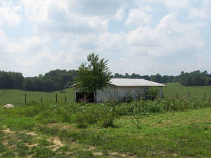 shed_former_location_kizzie_lura_jones_home.jpg